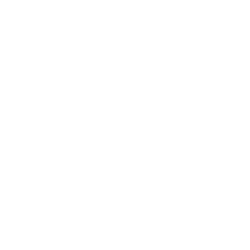 Packaging Icon